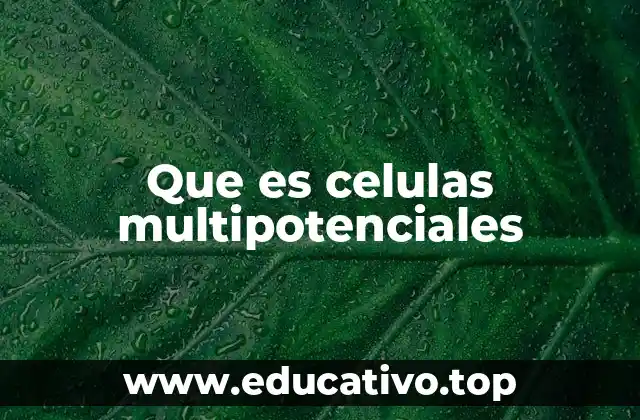 Que es celulas multipotenciales