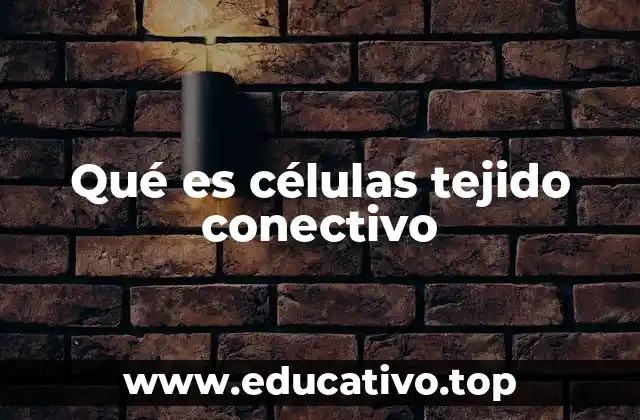 Qué es células tejido conectivo
