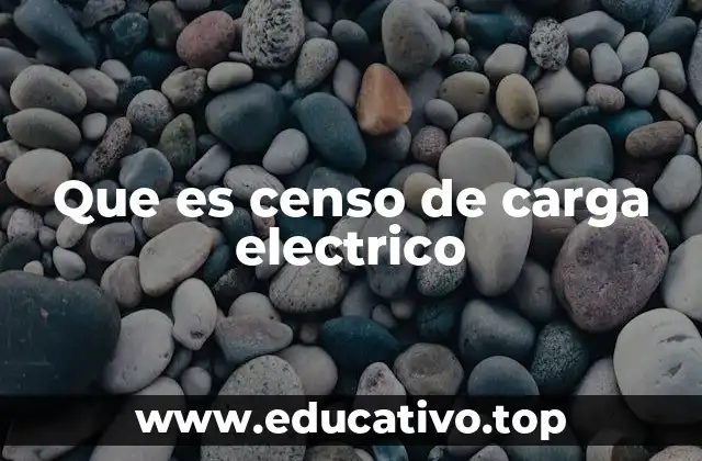 Que es censo de carga electrico