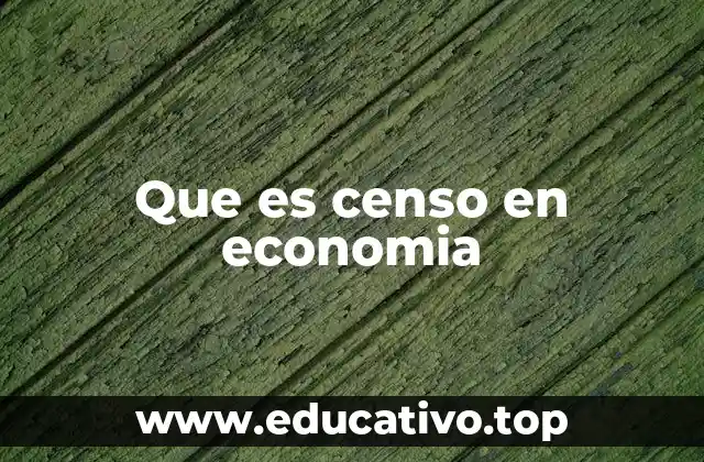 Que es censo en economia