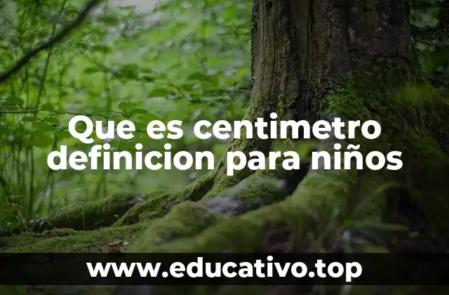 Cómo entender las medidas de longitud en la vida cotidiana