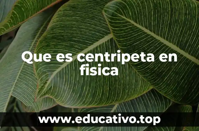 Que es centripeta en fisica