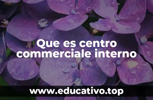Que es centro commerciale interno