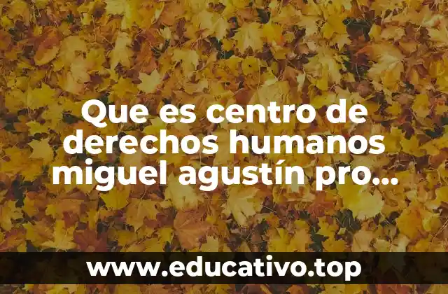 Que es centro de derechos humanos miguel agustín pro juárez