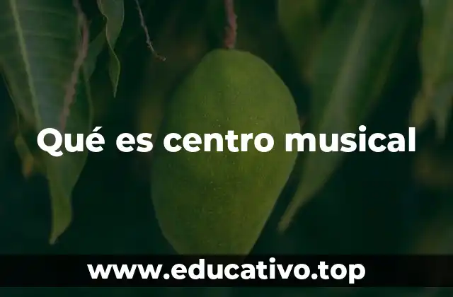 Qué es centro musical