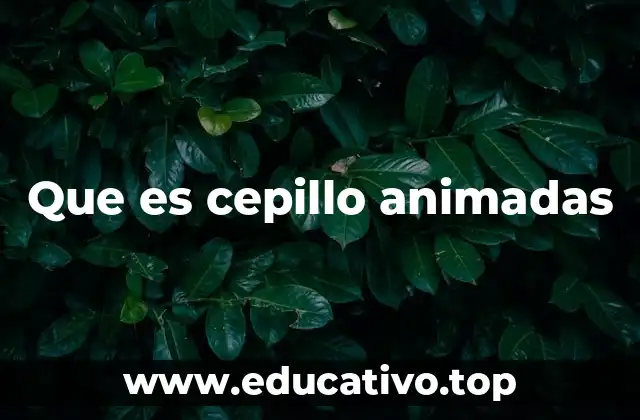 Que es cepillo animadas