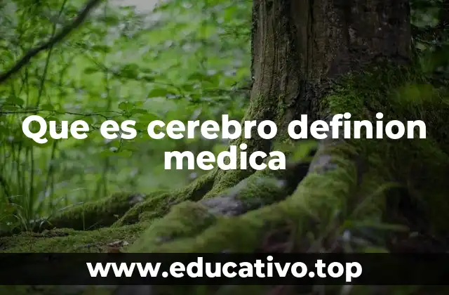 Que es cerebro definion medica