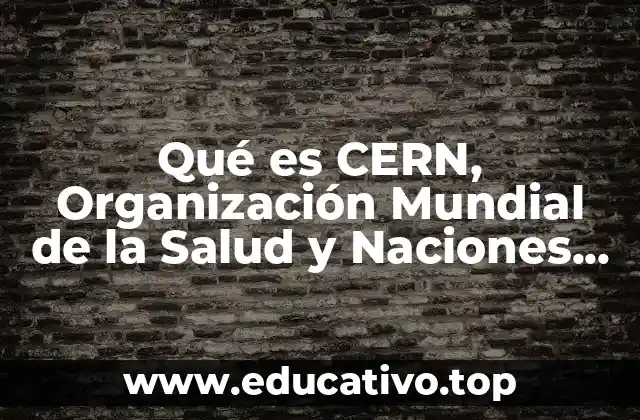 Qué es CERN, Organización Mundial de la Salud y Naciones Unidas