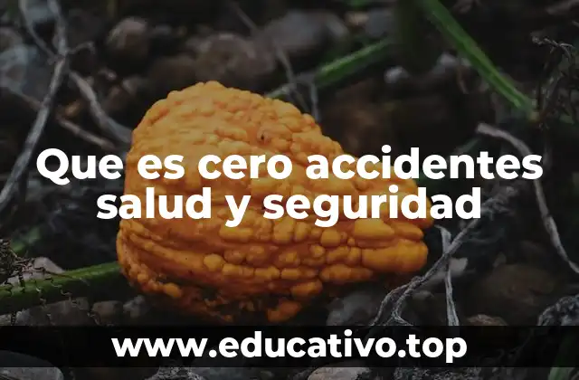 Que es cero accidentes salud y seguridad