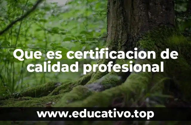 Que es certificacion de calidad profesional