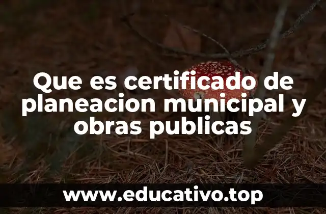 La importancia del certificado en la gestión urbana