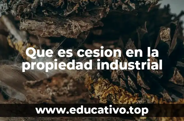 Que es cesion en la propiedad industrial