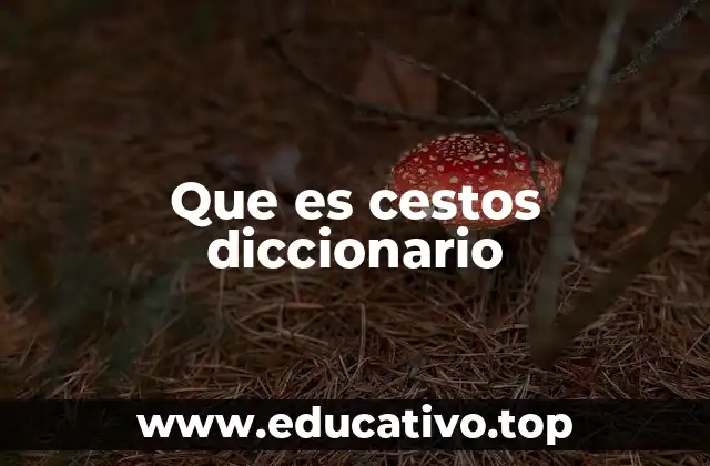 Uso y aplicaciones de los cestos en la vida cotidiana