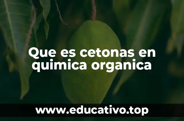 Que es cetonas en quimica organica