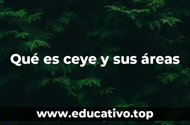 Qué es ceye y sus áreas