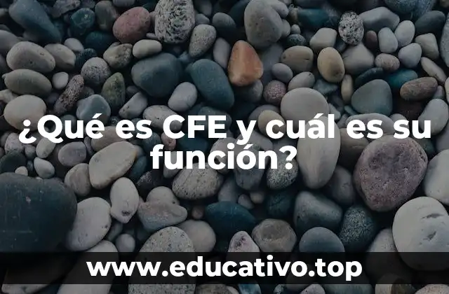 ¿Qué es CFE y cuál es su función?