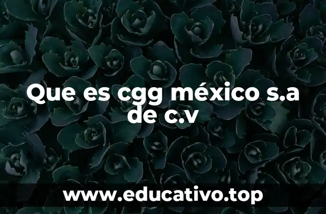 Que es cgg méxico s.a de c.v