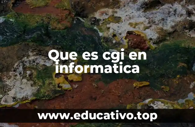Que es cgi en informatica