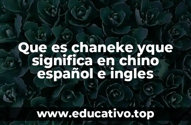 Que es chaneke yque significa en chino español e ingles