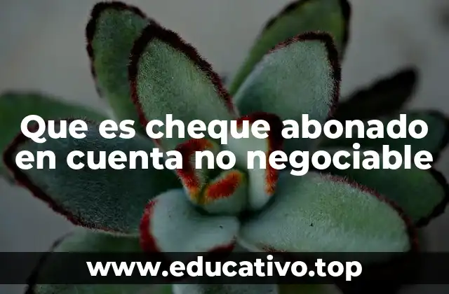 Que es cheque abonado en cuenta no negociable