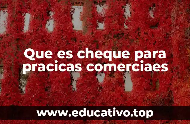 Que es cheque para pracicas comerciaes