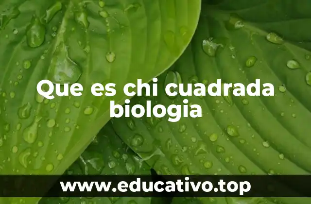 Que es chi cuadrada biologia