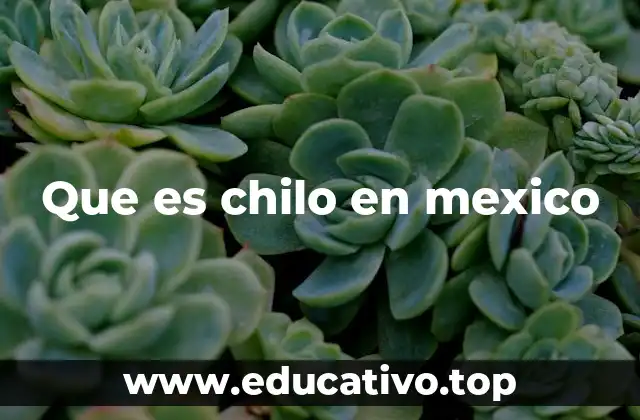 El fenómeno del chilo en la cultura urbana mexicana