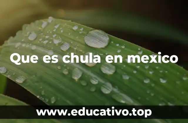 Que es chula en mexico