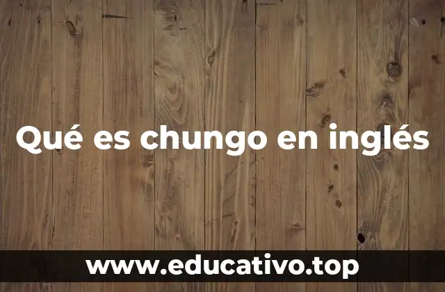 El uso de chungo en contextos bilingües