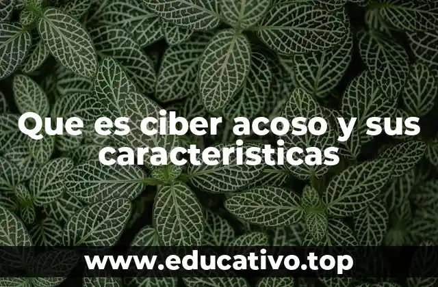 Que es ciber acoso y sus caracteristicas