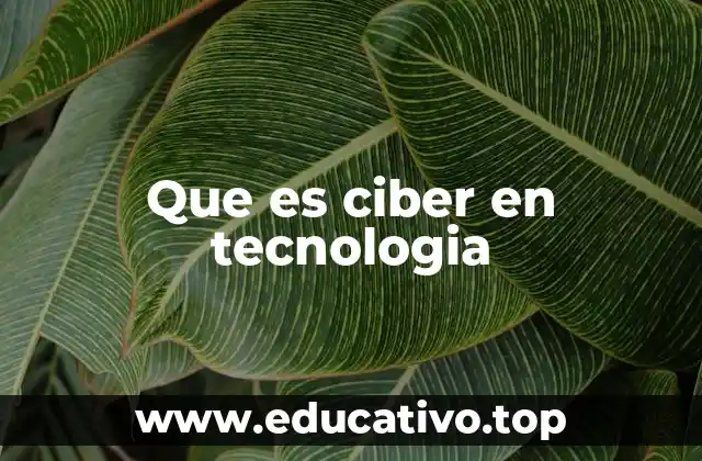 Que es ciber en tecnologia