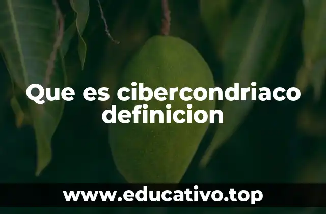 Que es cibercondriaco definicion