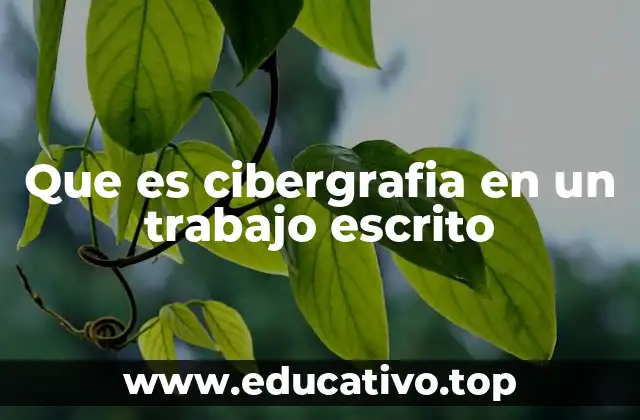 Que es cibergrafia en un trabajo escrito