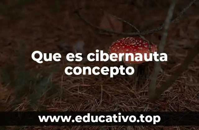 Que es cibernauta concepto
