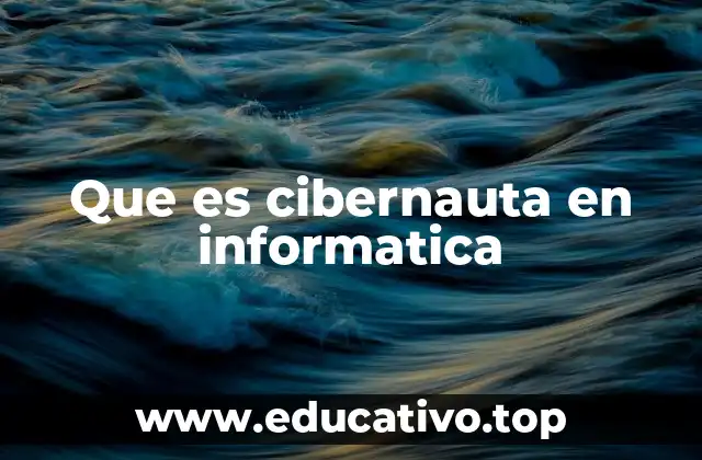 Que es cibernauta en informatica