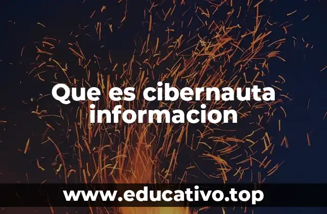 Que es cibernauta informacion