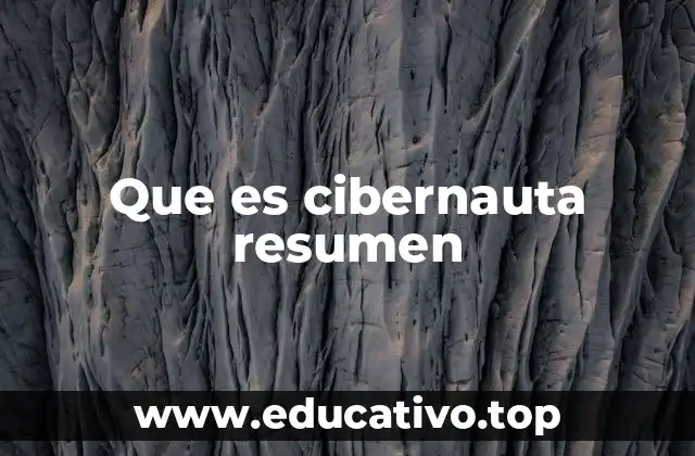 Que es cibernauta resumen