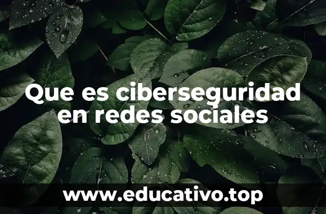 Que es ciberseguridad en redes sociales