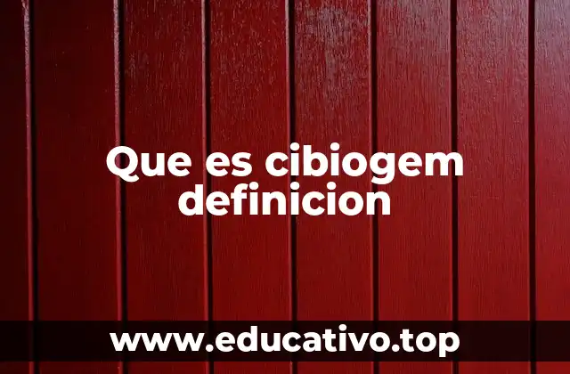 Que es cibiogem definicion