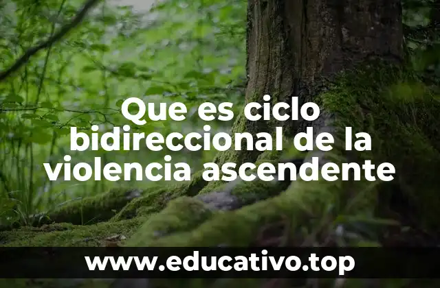 Que es ciclo bidireccional de la violencia ascendente