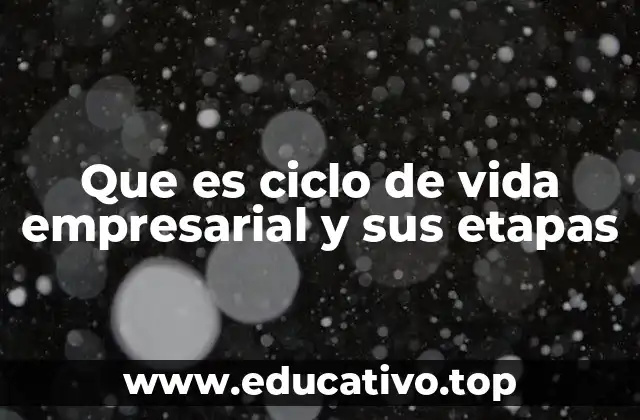 Que es ciclo de vida empresarial y sus etapas