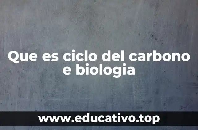 Que es ciclo del carbono e biologia