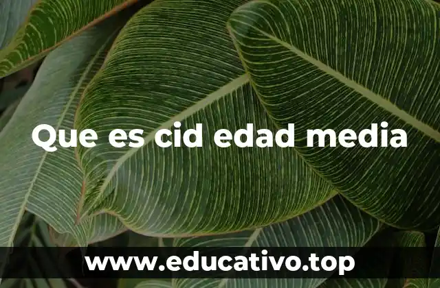 El Cid en el contexto histórico de la Reconquista