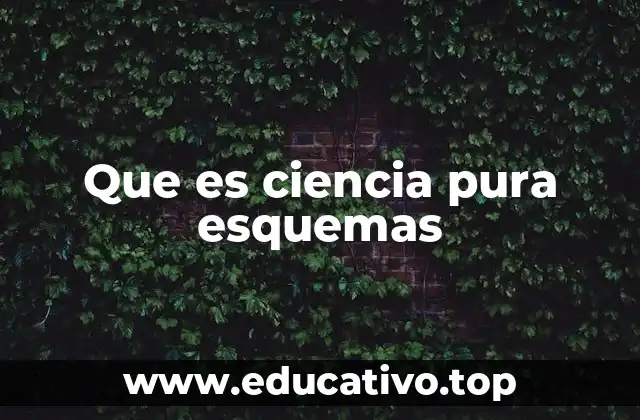 Que es ciencia pura esquemas