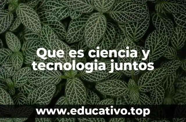 El papel de la innovación en la era moderna