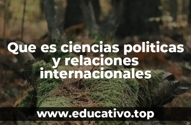 La importancia de comprender el mundo político a través de la academia
