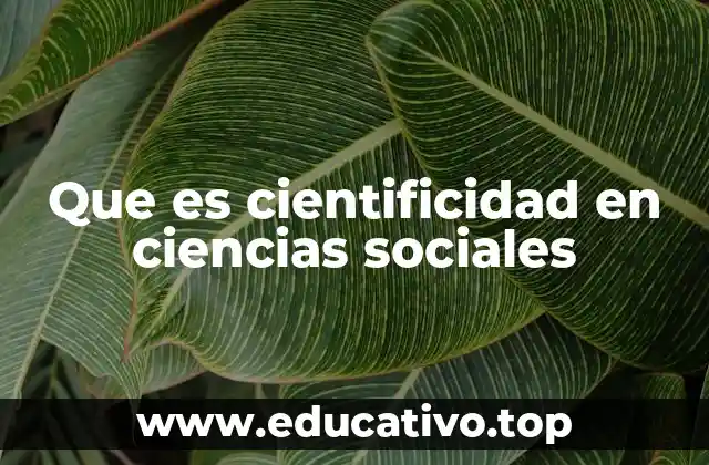 Que es cientificidad en ciencias sociales