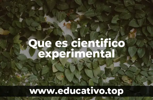 Que es cientifico experimental