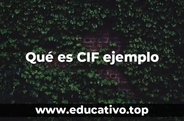 Qué es CIF ejemplo