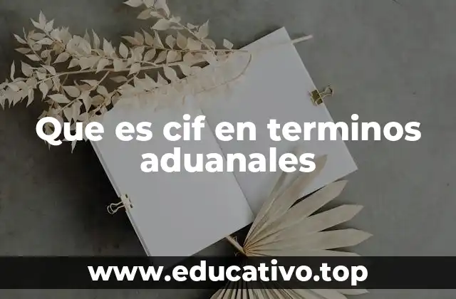 Que es cif en terminos aduanales